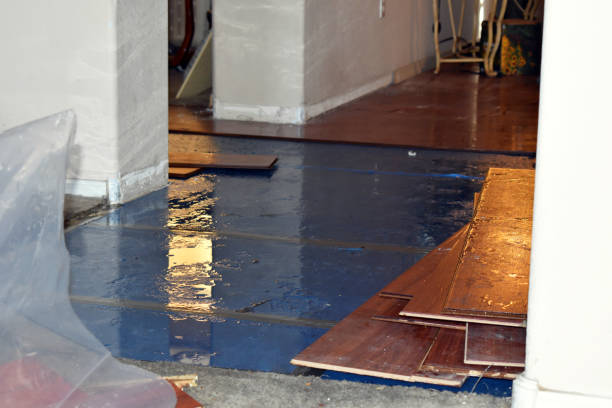 Professional Burst Pipe Cleanup technician working in Baileyton, AL