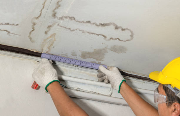 Reliable Burst Pipe Cleanup contractor in Baileyton, AL by Water Damage Irwin